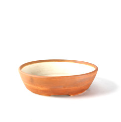 Vaso Bonsai Design Pots Oval 25,5 x 7,5 cm