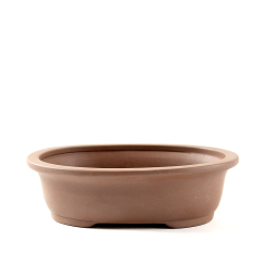 Vaso Literato Oval 18,6 cm x 13,2 cm x 5,6 cm